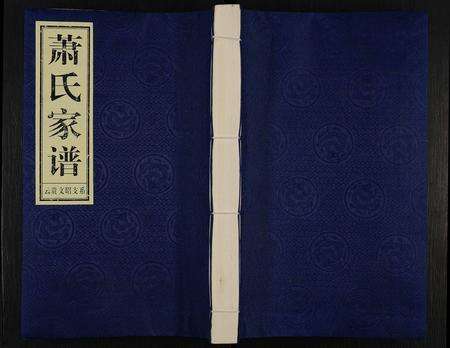 9015.萧氏家谱 ： 云贵文昭支系 [不分卷](别名：萧氏家谱).pdf电子版缩略图