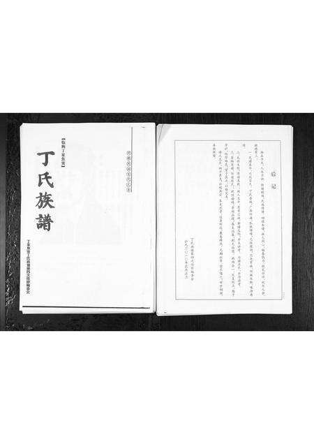 1008.丁家焦窦丁氏族谱 [1册](别名：Ding Jia Jiao Dou Ding Shi Zu Pu、丁氏族谱).pdf电子版缩略图