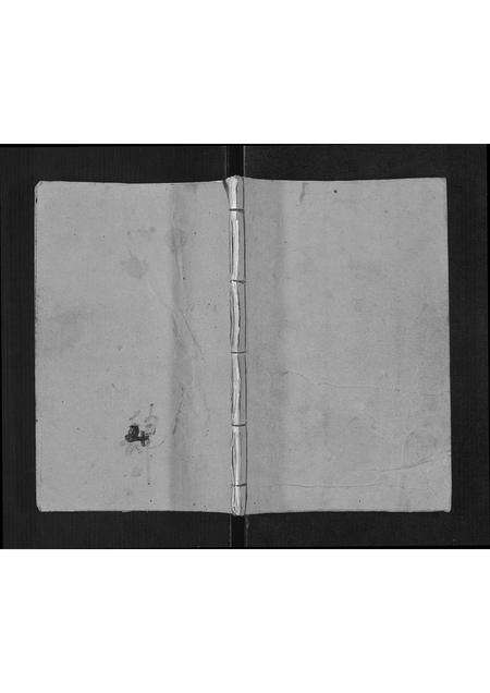 9523.杨氏家谱[不分卷](别名：Yang Shi Jia Pu、杨氏家谱).pdf电子版缩略图