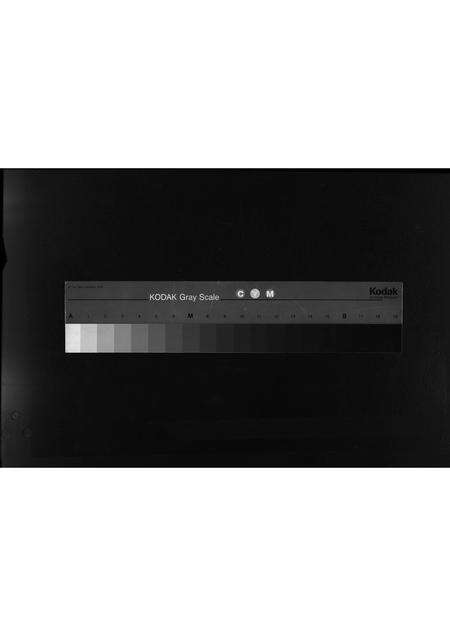 10200.万宁詹氏族谱 [不分卷](别名：万宁市万城镇春园村詹氏修谱、Wan Ning Zhan Shi Zu Pu、万宁詹氏族谱).pdf电子版缩略图