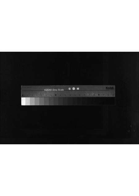 10362.山东淄川黑旺西南张氏族谱 [不分卷](别名：新续张氏族谱、Shan Dong Zi Chuan Hei Wang Xi Nan Zhang Shi Zu Pu、山东淄川黑旺西南张氏族谱).pdf电子版缩略图