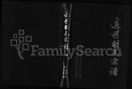 4211.适游胡氏宗谱 [5卷](别名：Shi You Hu Shi Zong Pu、适游胡氏宗谱).pdf电子版缩略图