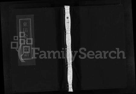 4286.东田金氏宗谱 [不分卷](别名：乐清岭底乡东田金氏宗谱、Dong Tian Jin Shi Zu Pu).pdf电子版缩略图