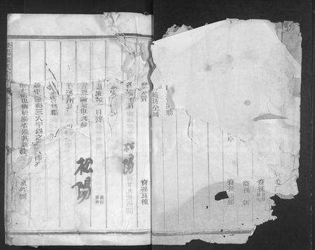 4299.松阳赖氏宗谱 [11卷].pdf电子版缩略图