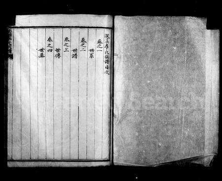 4303.漎溪李氏族谱(别名：法华李氏族谱).pdf电子版缩略图