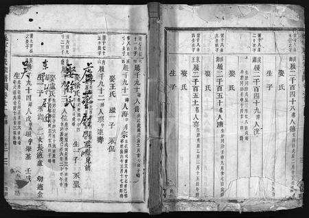 4327.吴宁厉氏宗谱 [残卷](别名：Wuning Lishi Zongpu、吴宁厉氏宗谱).pdf电子版缩略图