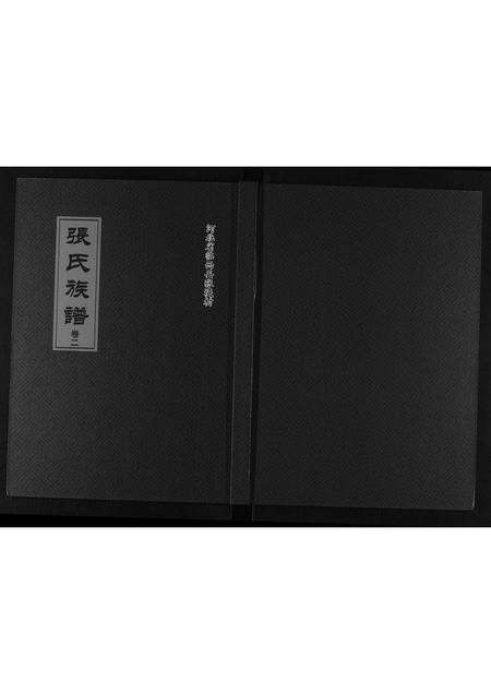 10709.张氏族谱[2卷].pdf电子版缩略图