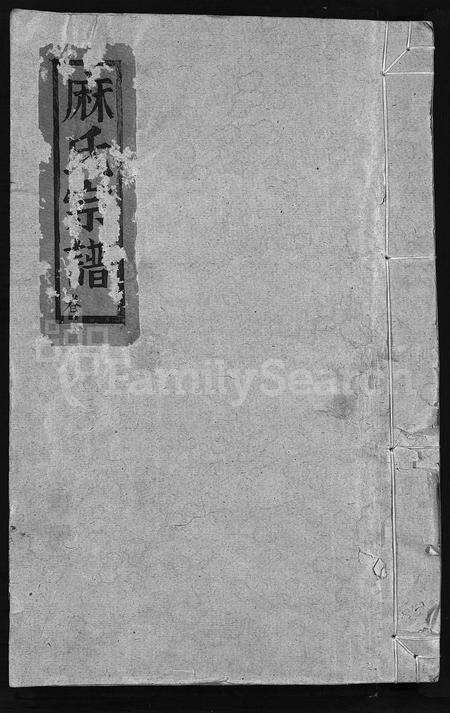4383.麻氏宗谱 [不分卷](别名：Ma Shi Zong Pu).pdf电子版缩略图