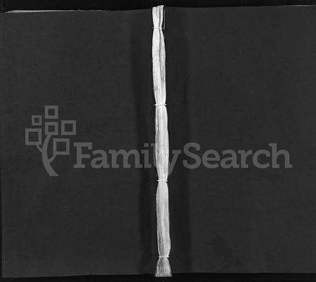 4511.汪氏宗谱 [10卷,首末各2卷](别名：汪氏重修族谱、Wang Shi Zong Pu).pdf电子版缩略图