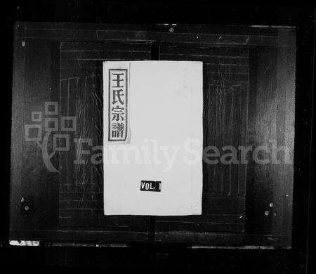 4545.王氏宗谱 [4卷](别名：平阳北港五十丈王氏族谱).pdf电子版缩略图