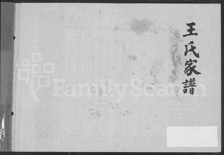 4546.王氏家谱(别名：太原王氏宗谱).pdf电子版缩略图