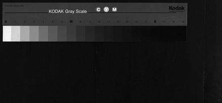 11044.赵氏族谱 [不分卷](别名：景芝赵氏族谱、Zhao Shi Zu Pu、赵氏族谱).pdf电子版缩略图