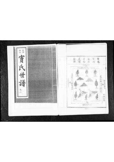 1112.窦氏世谱[2卷](别名：Dou Shi Shi Pu、窦氏世谱).pdf电子版缩略图