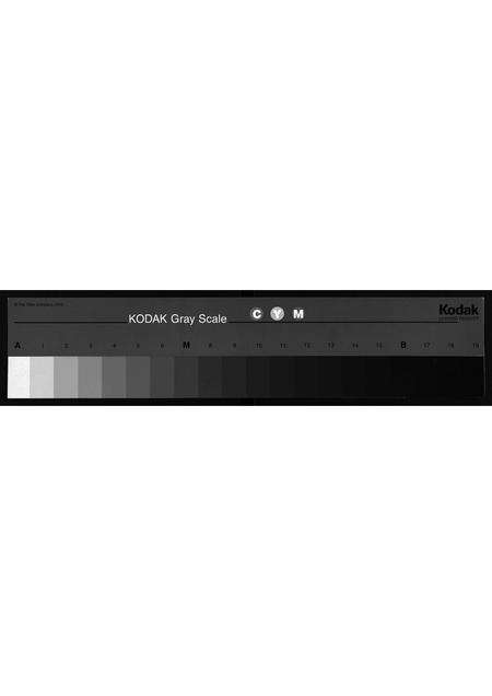 11767.桂东南邹氏族谱(容县卷)(别名：Gui Dong Nan Zou Shi Zu Pu (Rong Xian Juan)、桂东南邹氏族谱(容县卷)).pdf电子版缩略图