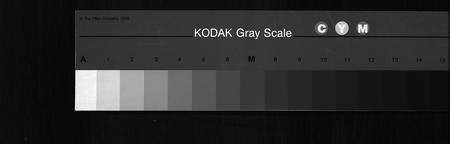 1337.海南冯氏族谱 [217卷,总纲10卷](别名：冯氏族谱、Hai Nan Feng Shi Zu Pu、海南冯氏族谱).pdf电子版缩略图