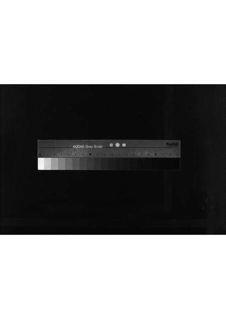 2961.焦氏族谱 [不分卷](别名：即墨县焦氏族谱、Jiao Shi Zu Pu).pdf电子版缩略图