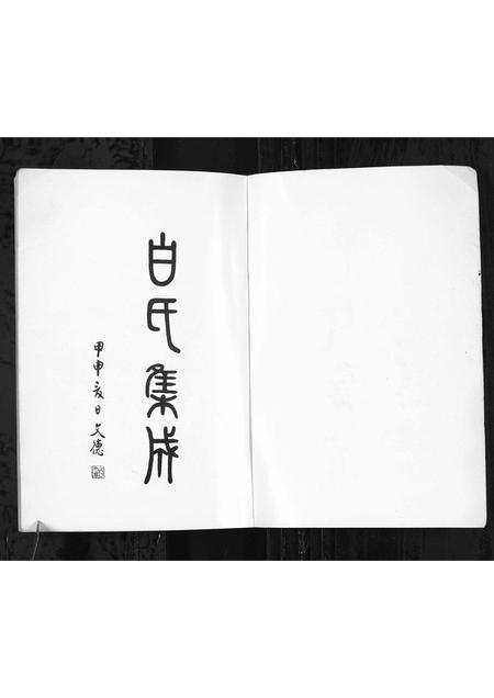 山东白氏-白氏集成(上集)[4编](别名：Bai Shi Ji Cheng(Shang Ji)).pdf电子版预览图1