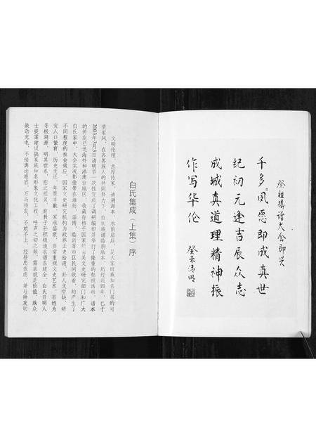 山东白氏-白氏集成(上集)[4编](别名：Bai Shi Ji Cheng(Shang Ji)).pdf电子版预览图5