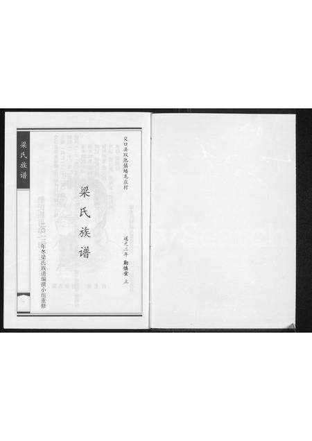 3712.梁氏族谱(别名：梁氏族谱 ： 交口县双池镇蟠龙庄村).pdf电子版预览图1