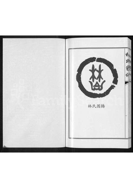 3782.林氏家谱 ： 靖西县荣劳街双桂堂(别名：林氏家谱).pdf电子版预览图1