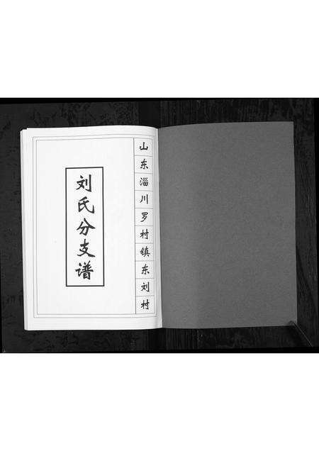 3938.山东淄川罗村镇东刘村刘氏分支谱[1册](别名：Shan Dong Zi Chuan Lu Cun Zhen Dong Liu Cun Liu Shi Fen Zhi Pu、山东淄川罗村镇东刘村刘氏分支谱).pdf电子版预览图1