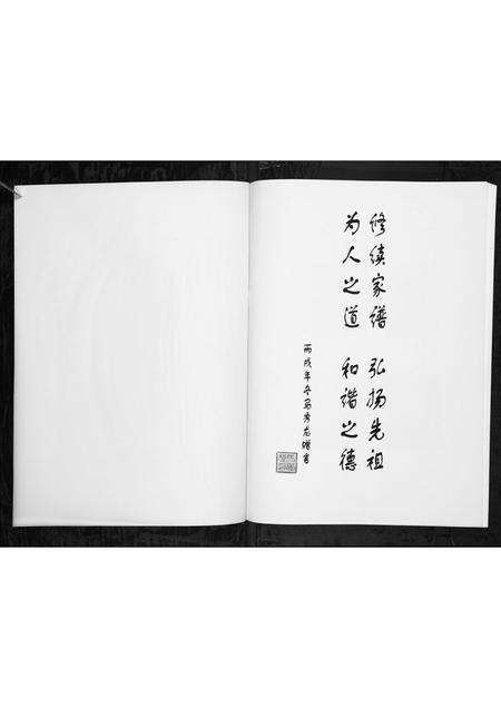 4564.马家寨马姓溯源 [1册](别名：Ma Jia Zhai Ma Xing Su Yuan、马家寨马姓溯源).pdf电子版预览图1