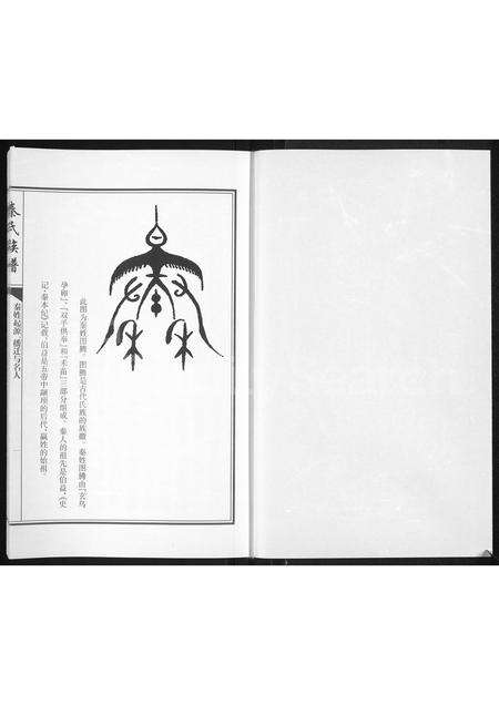 5150.秦氏族谱 ： 高密秦氏老长支秦家岭族谱(别名：秦氏族谱).pdf电子版预览图1