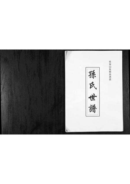 5801.乐安山桓台西店孙氏世谱 [1册](别名：Le An Shan Huan Tai Xi Dian Sun Shi Shi Pu、乐安山桓台西店孙氏宗谱).pdf电子版预览图1