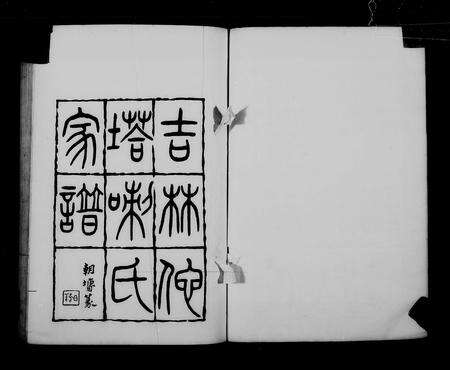 5899.吉林他塔喇氏家谱 ： [9编].pdf电子版预览图1