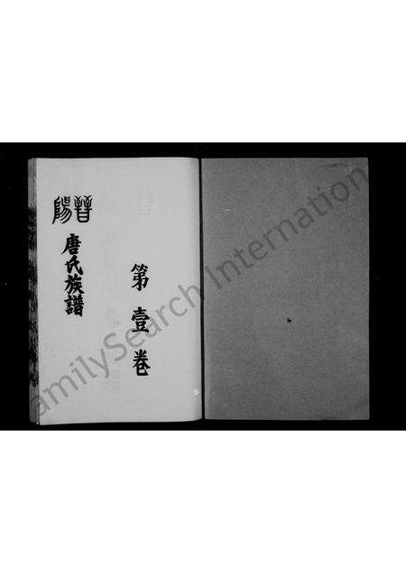 5966.唐氏族谱 [4卷](别名：国裔儒籍堂唐氏谱书、晋阳郡儒籍堂唐氏族谱、晋阳唐氏族谱).pdf电子版预览图1