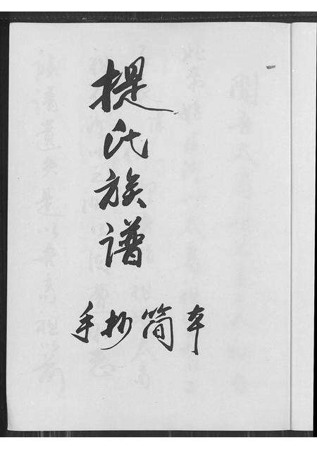 6080.提氏族谱 ： 手抄简本.pdf电子版预览图1
