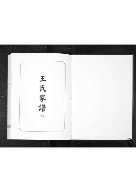 6331.城西王氏家谱 [上下册](别名：Cheng Xi Wang Shi Jia Pu、王氏家谱).pdf电子版预览图1
