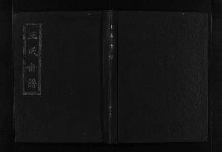 6347.王氏世谱 [不分卷](别名：新城王氏世谱、Wang Shi Shi Pu).pdf电子版预览图1