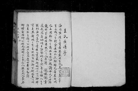 6427.王氏族谱 [35卷](别名：王氏世谱、新城王氏世谱).pdf电子版预览图1