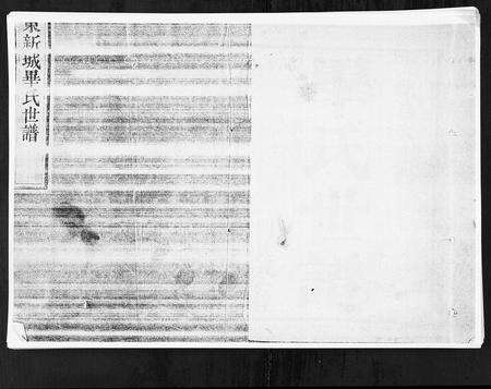 0060.山东新城毕氏世谱[13卷](别名：Shan Dong Xin Cheng Bi Shi Shi Pu、山东新城毕氏世谱).pdf电子版预览图1