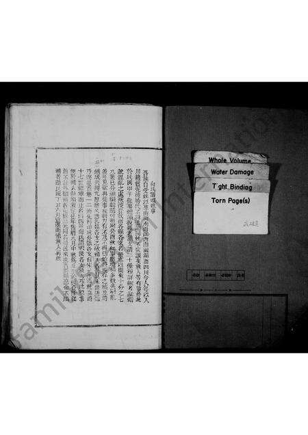 8920.四川省向氏总谱(别名：四川向氏总谱、向氏总谱).pdf电子版预览图1