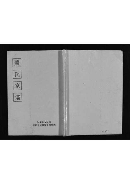 8961.萧氏家谱 [不分卷](别名：Xiao Shi Jia Pu、萧氏家谱).pdf电子版预览图1