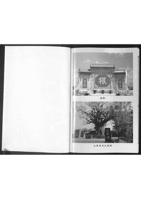 9525.杨氏宗谱 ： 入宁中寨子始祖杨国强宗支.pdf电子版预览图1