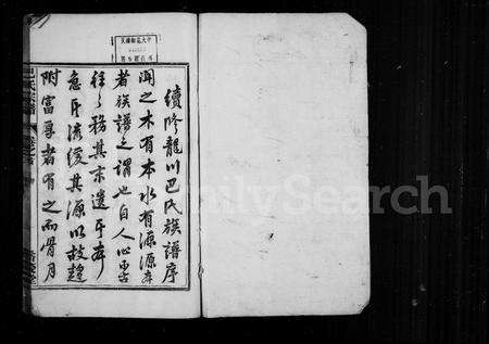 4001.巴氏宗谱 [8卷,首末各1卷](别名：龙川巴氏宗谱).pdf电子版预览图1