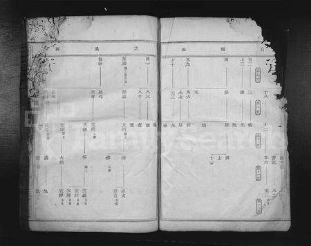 4021.天台曹氏宗谱 [残卷](别名：Tian Tai Cao Shi Zong Pu).pdf电子版预览图1