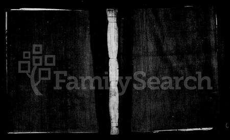 4039.慈邑双顶山陈氏宗谱.pdf电子版预览图1