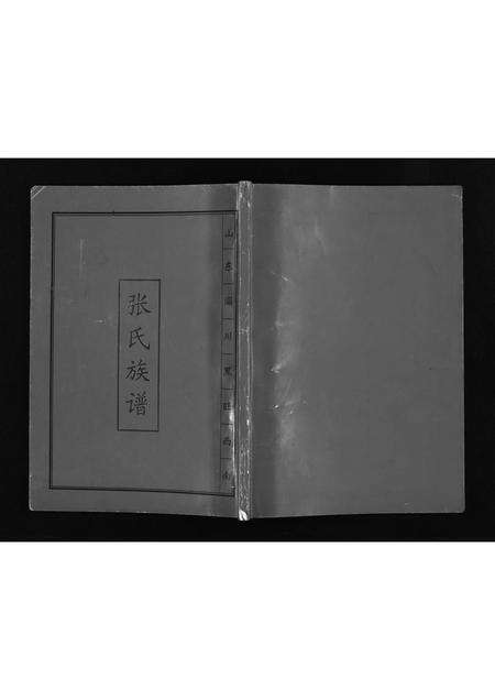 10362.山东淄川黑旺西南张氏族谱 [不分卷](别名：新续张氏族谱、Shan Dong Zi Chuan Hei Wang Xi Nan Zhang Shi Zu Pu、山东淄川黑旺西南张氏族谱).pdf电子版预览图1