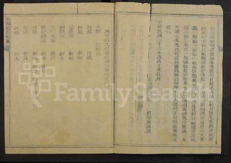 4106.兴田段氏族谱 [不分卷](别名：段氏宗谱).pdf电子版预览图1