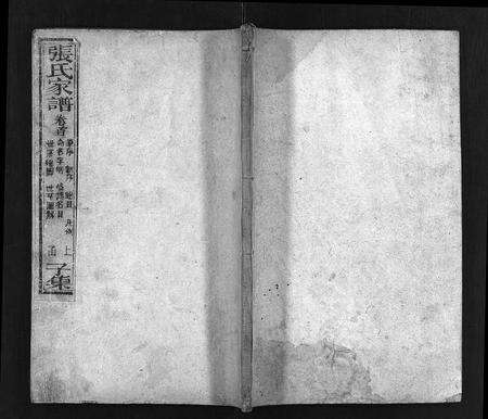 10377.张氏家谱 [上函11卷,含卷首,下函12卷](别名：张氏谱书、泰安张氏家谱、Zhang Shi Jia Pu、张氏家谱).pdf电子版预览图1