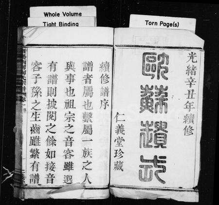 4192.西何何氏宗谱 [18卷](别名：暨阳西何何氏宗谱).pdf电子版预览图1