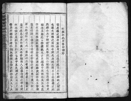 4206.柏溪胡氏宗谱 [11卷](别名：东阳安定郡柏溪胡氏宗谱、Baixi Hu Shi Zongpu、东阳柏溪胡氏宗谱).pdf电子版预览图1