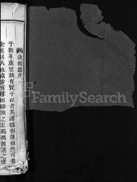 4210.胡氏宗谱 [8卷](别名：胡氏续修宗谱、永康胡氏宗谱、Hu Shi Zong Pu).pdf电子版预览图1