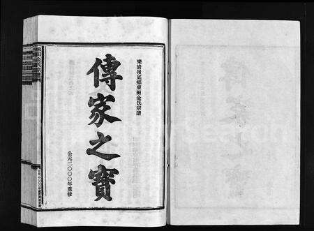 4286.东田金氏宗谱 [不分卷](别名：乐清岭底乡东田金氏宗谱、Dong Tian Jin Shi Zu Pu).pdf电子版预览图1
