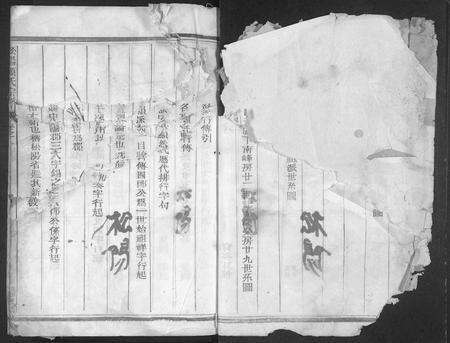 4299.松阳赖氏宗谱 [11卷].pdf电子版预览图1