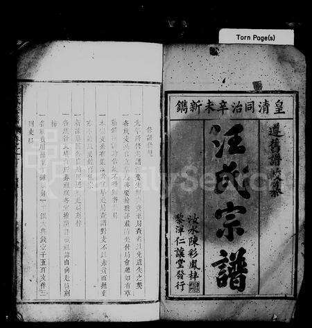 4514.汪氏宗谱 [9卷].pdf电子版预览图1